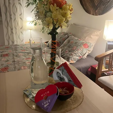 Apartment Pripotocni