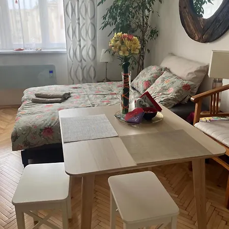 Apartment Pripotocni *